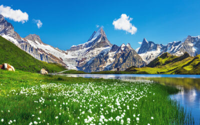 Trademark protection in Switzerland – Register your trademark legally
